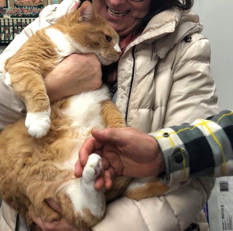 The Reason Why This Cat Was Given to the Shelter is Beyond My Understanding - fluffybuffy.com