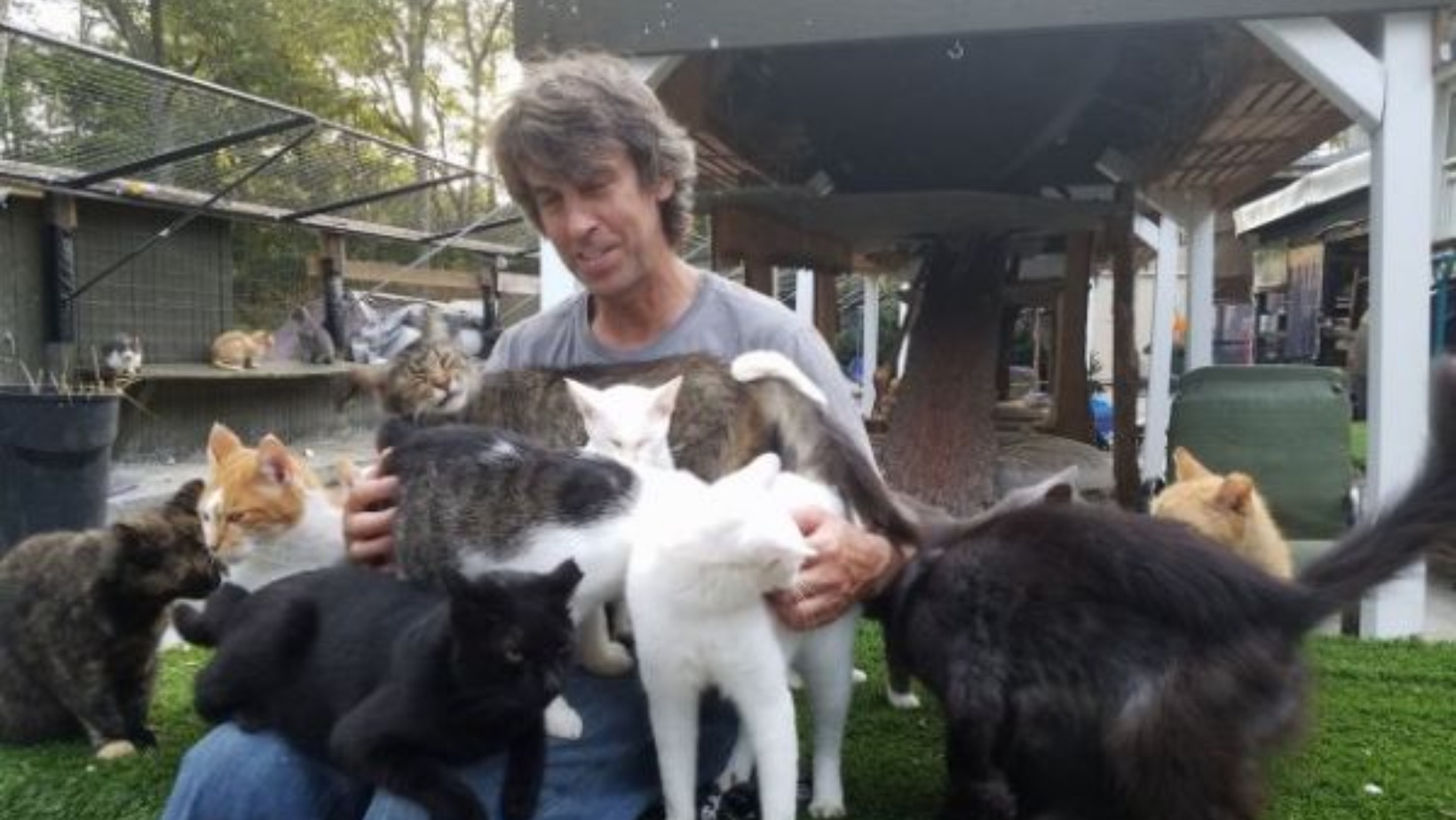 How One Man’s Tragedy Led Him to Start a Safe Haven for Hundreds of Homeless Cats -fluffybuffy.com